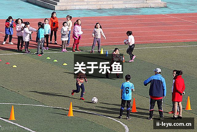 关于乐鱼